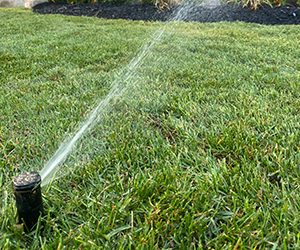Sodding & Irrigation System Installation Services