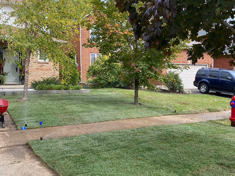 New Sod Installation & Irrigation System Installation Services in Ancaster