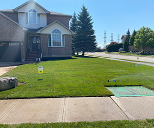 Front Yard Sod Installation
