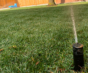 Automatic Underground Irrigation System Installation