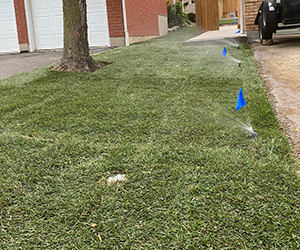 Sodding & Irrigation System Installation Services